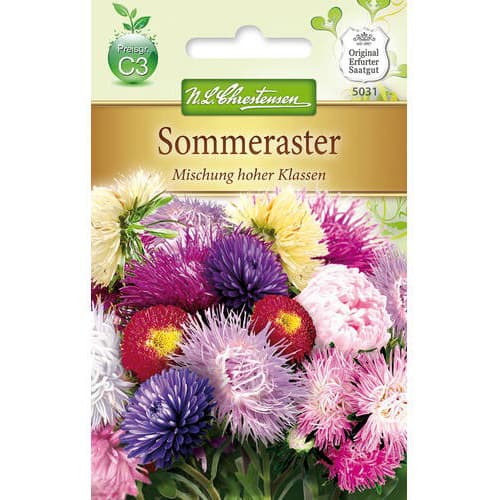 Sommeraster Mischung hoher Klassen interface.image 1 interface.art 78891