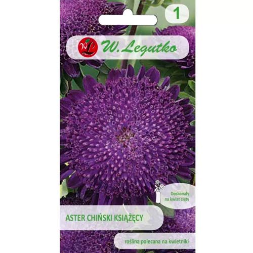 Aster violett Legutko interface.image 1 interface.art 78518