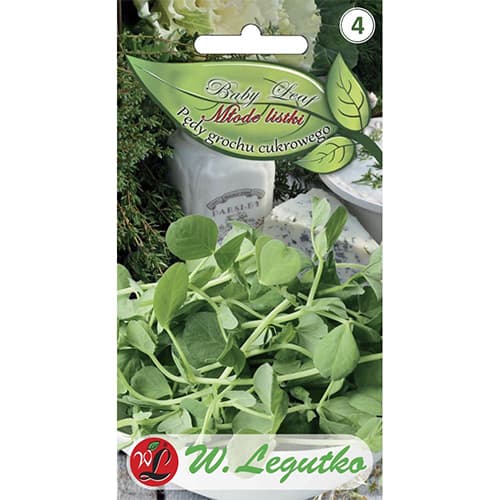 Baby Leaf - Zuckererbse interface.art Bild 1 Baby Leaf - Zuckererbse interface.image 1 interface.art 86708