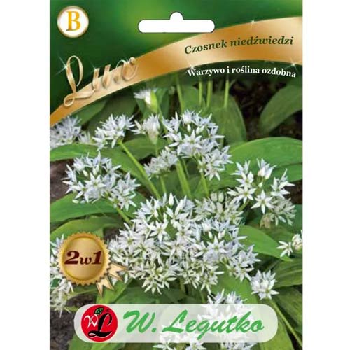 Bärlauch Legutko interface.art Bild 1 Bärlauch Legutko interface.image 1 interface.art 50128