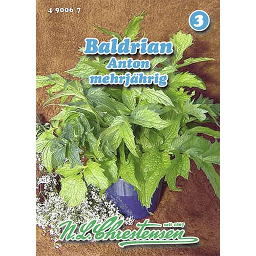 Baldrian Anton Chrestensen interface.art Bild 1 Baldrian Anton Chrestensen interface.image 1 interface.art 96463