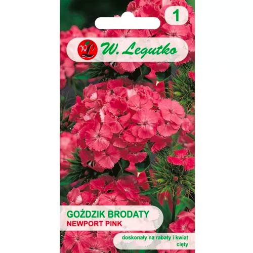 Bartnelke Newport Pink Legutko interface.image 1 interface.art 78602