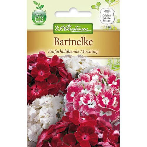 Bartnelke Mischung interface.art Bild 1 Bartnelke Mischung interface.image 1 interface.art 78955