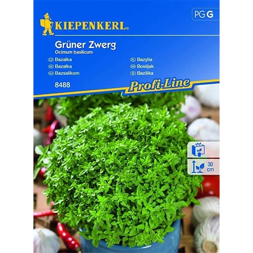 Basilikum Grüner Zwerg interface.image 1 interface.art 86379