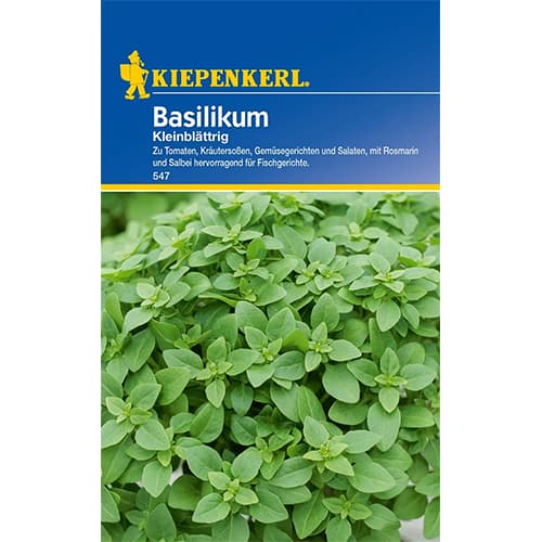 Basilikum Einjährig interface.image 1 interface.art 77456