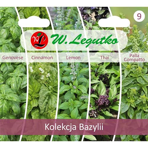 Basilikum - Kollektion interface.image 1 interface.art 96837