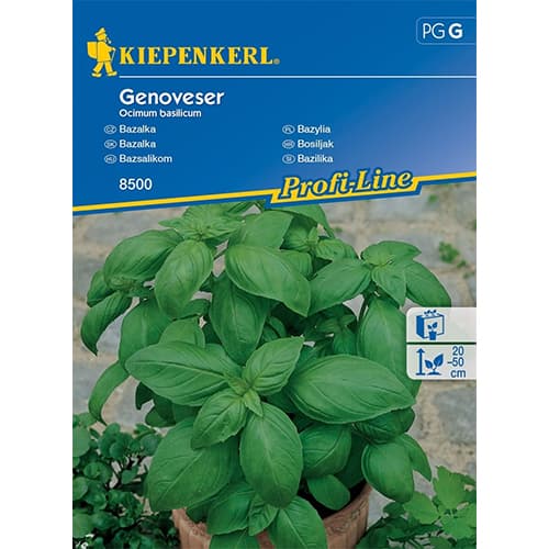 Feldsalat Holländischer breitblättriger interface.image 1 interface.art 96592