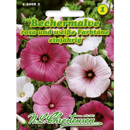 Bechermalve interface.image 1 interface.art 86162