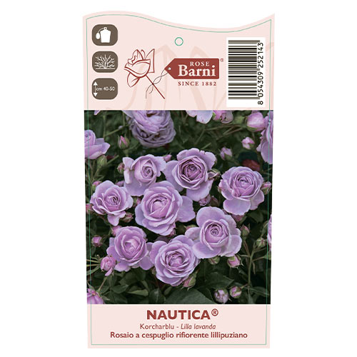 Beetrose Nautica®, C5 interface.image 4 interface.art 6150