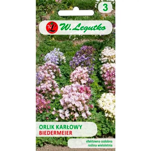 Biedermeier-Adlerhybride, mischung Legutko interface.image 1 interface.art 69615