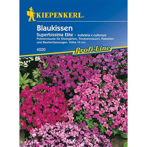 Blaukissen Superbissima Elite interface.image 1 interface.art 86256