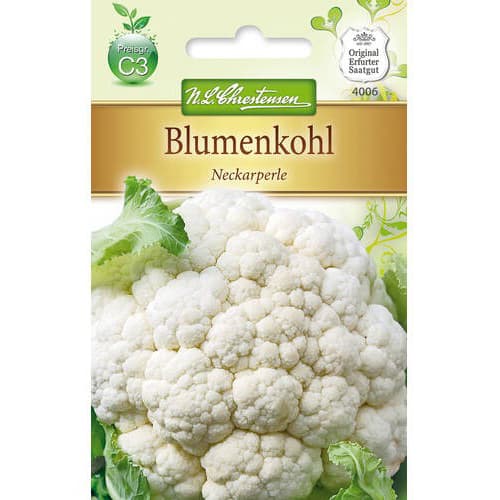 Blumenkohl Neckarperle interface.art Bild 1 Blumenkohl Neckarperle interface.image 1 interface.art 78711