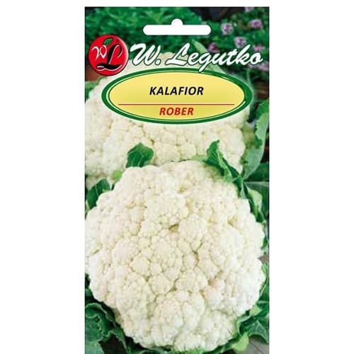 Blumenkohl Rober interface.art Bild 1 Blumenkohl Rober interface.image 1 interface.art 86870