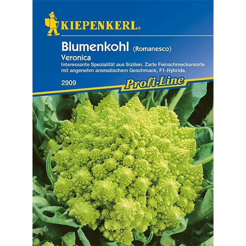 Blumenkohl Veronica F1 interface.art Bild 1 Blumenkohl Veronica F1 interface.image 1 interface.art 86517