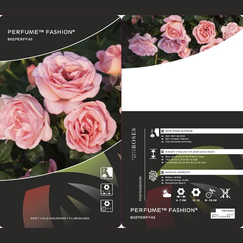 Beetrose Perfume Fashion®, C3 interface.image 2 interface.art 4978