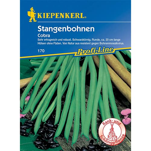 Stangenbohne Cobra interface.art Bild 1 Stangenbohne Cobra interface.image 1 interface.art 96679