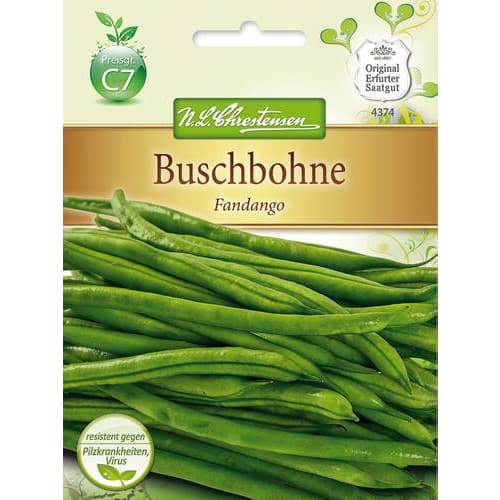 Buschbohne Fandango interface.art Bild 1 Buschbohne Fandango interface.image 1 interface.art 78826