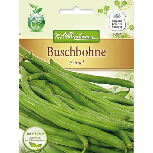 Buschbohne Primel interface.art Bild 1 Buschbohne Primel interface.image 1 interface.art 78820