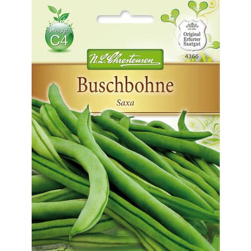 Buschbohne Saxa interface.art Bild 1 Buschbohne Saxa interface.image 1 interface.art 78824