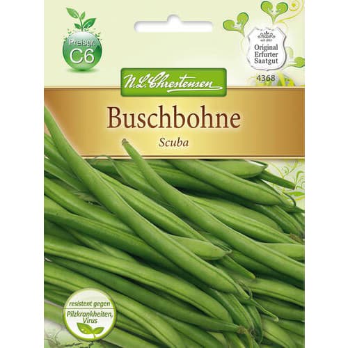 Buschbohne Scuba interface.art Bild 1 Buschbohne Scuba interface.image 1 interface.art 78825