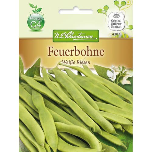 Feuerbohne Weise Riesen interface.art Bild 1 Feuerbohne Weise Riesen interface.image 1 interface.art 78830