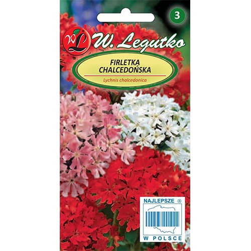 Brennende Liebe rot interface.art Bild 1 Brennende Liebe rot interface.image 1 interface.art 87859