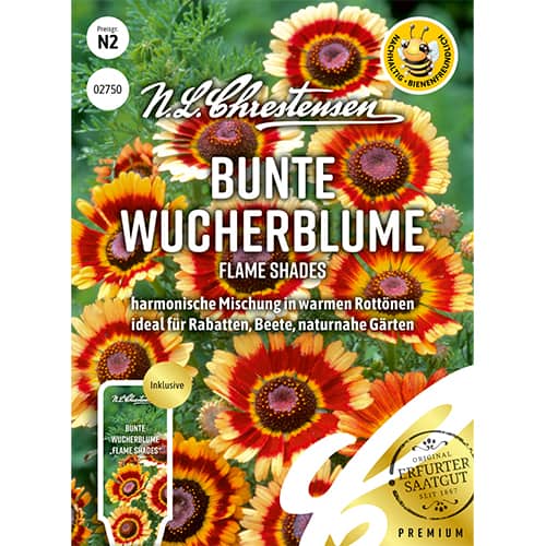 Bunte Wucherblume Flame Shades interface.image 1 interface.art 87802