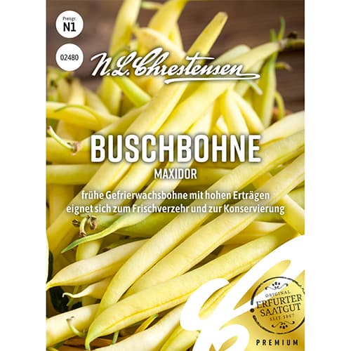 Buschbohne Maxidor Chrestensen interface.art Bild 1 Buschbohne Maxidor Chrestensen interface.image 1 interface.art 86029