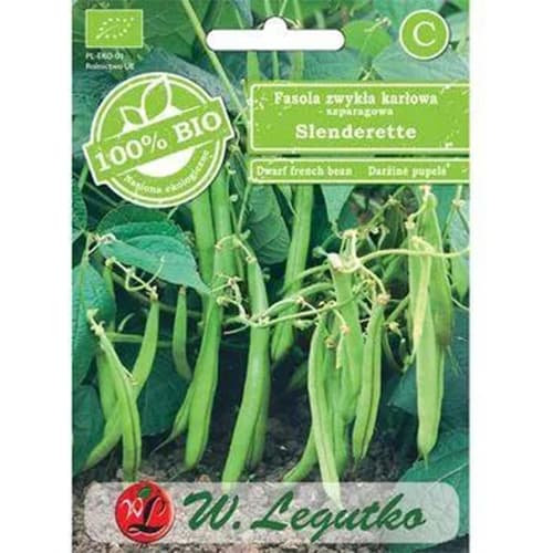 Buschbohne Slenderette interface.art Bild 1 Buschbohne Slenderette interface.image 1 interface.art 96828