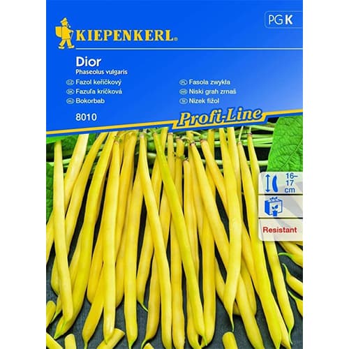 Buschbohne Dior interface.art Bild 1 Buschbohne Dior interface.image 1 interface.art 87275