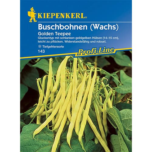 Buschbohne Golden Teepee Kiepenkerl interface.art Bild 1 Buschbohne Golden Teepee Kiepenkerl interface.image 1 interface.art 86401