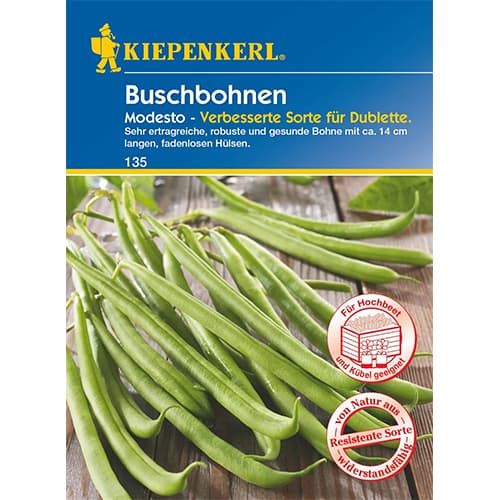 Buschbohne Modesto interface.art Bild 1 Buschbohne Modesto interface.image 1 interface.art 96602