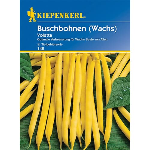 Buschbohne Voletta interface.art Bild 1 Buschbohne Voletta interface.image 1 interface.art 86404