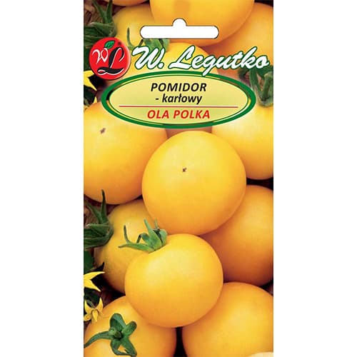 Buschtomate Ola Polka interface.image 1 interface.art 69516