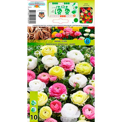 Butterblume Pastell, farbmischung interface.image 1 interface.art 76356