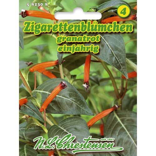 Zigarettenblümchen Chrestensen interface.art Bild 1 Zigarettenblümchen Chrestensen interface.image 1 interface.art 96412