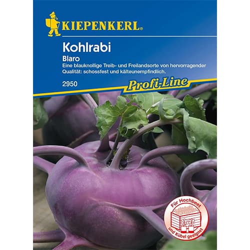 Kohlrabi Blaro Kiepenkerl interface.image 1 interface.art 96622