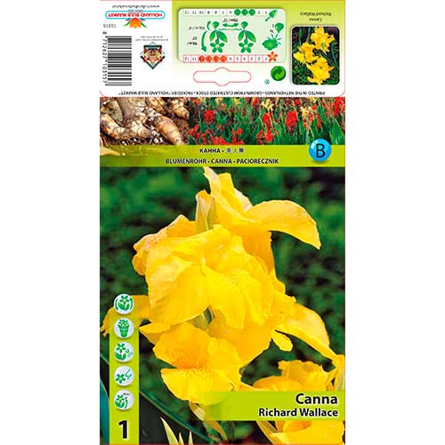 Canna Richard Wallace interface.image 1 interface.art 70366