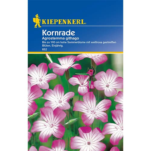 Kornrade Kiepenkerl interface.art Bild 1 Kornrade Kiepenkerl interface.image 1 interface.art 77425