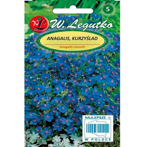 Cucurbit (Anagalis) blau Legutko interface.image 1 interface.art 96764