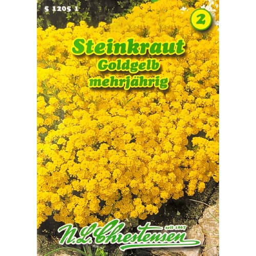 Steinkraut Goldkörbchen interface.art Bild 1 Steinkraut Goldkörbchen interface.image 1 interface.art 78969