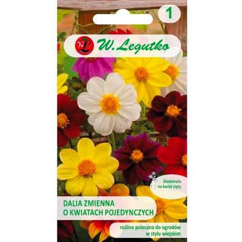 Dahlie Mignon mischung Legutko interface.image 1 interface.art 78548