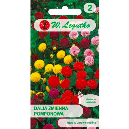 Dahlie mischung Legutko interface.image 1 interface.art 50091