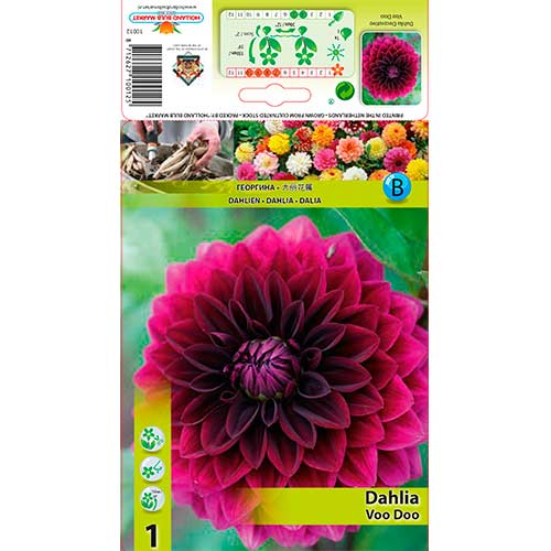 Dahlie Voo Doo interface.image 1 interface.art 76561