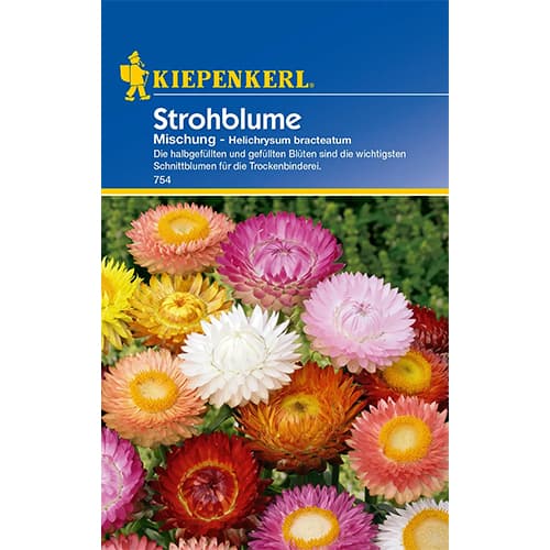 Strohblume Mischung interface.image 1 interface.art 77408