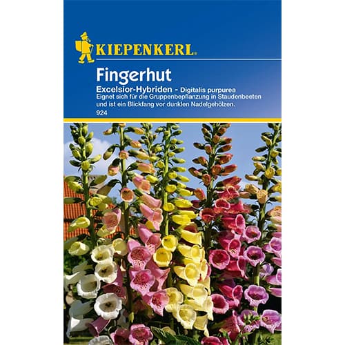 Fingerhut Excelsior - Hybriden interface.art Bild 1 Fingerhut Excelsior - Hybriden interface.image 1 interface.art 77403