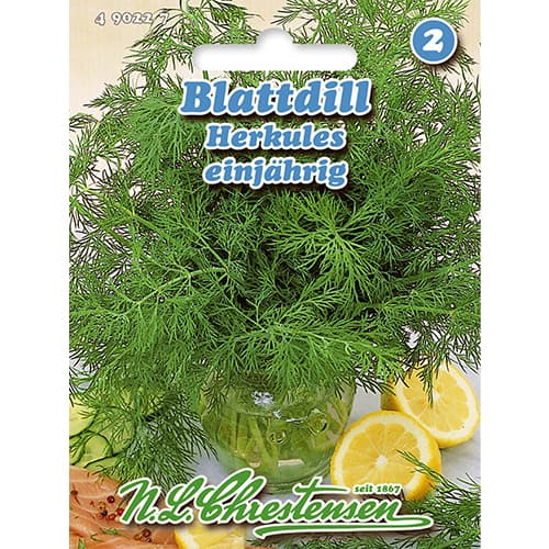 Blattdill Herkules Chrestensen interface.art Bild 1 Blattdill Herkules Chrestensen interface.image 1 interface.art 86000