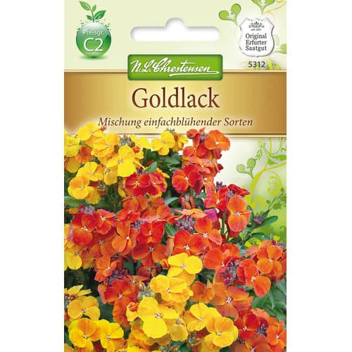 Goldlack einfachblühender Mischung interface.art Bild 1 Goldlack einfachblühender Mischung interface.image 1 interface.art 78954