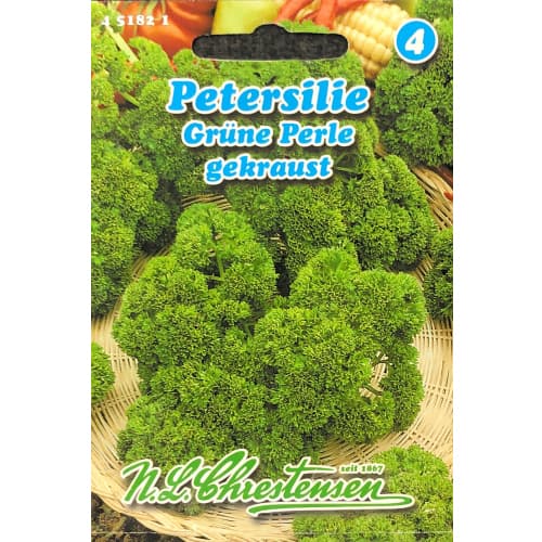 Schnittpetersilie Grüne Perle interface.art Bild 1 Schnittpetersilie Grüne Perle interface.image 1 interface.art 87849