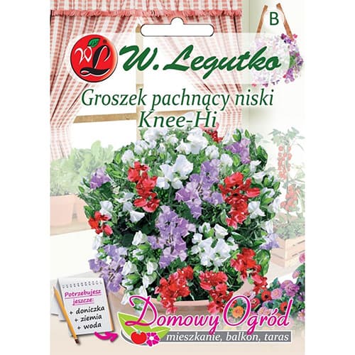 Edelwicken Knee - Hi interface.art Bild 1 Edelwicken Knee - Hi interface.image 1 interface.art 69642